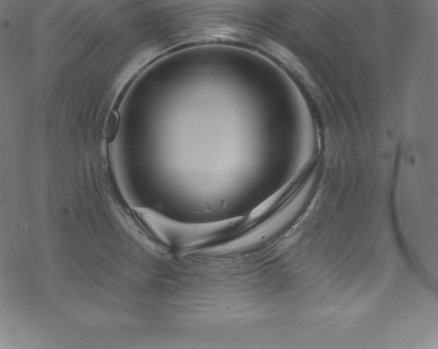 X0000076451234200610061314