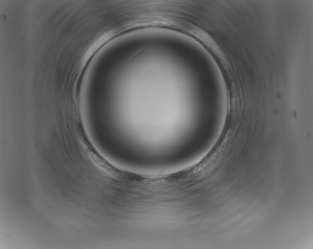 X0000076451242200610061314