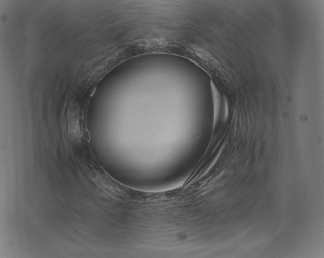 X0000076451250200610061314
