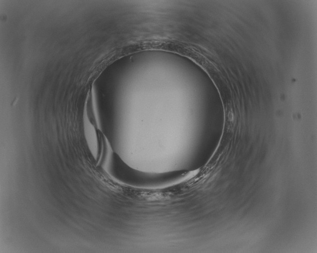 X0000076451252200610061314
