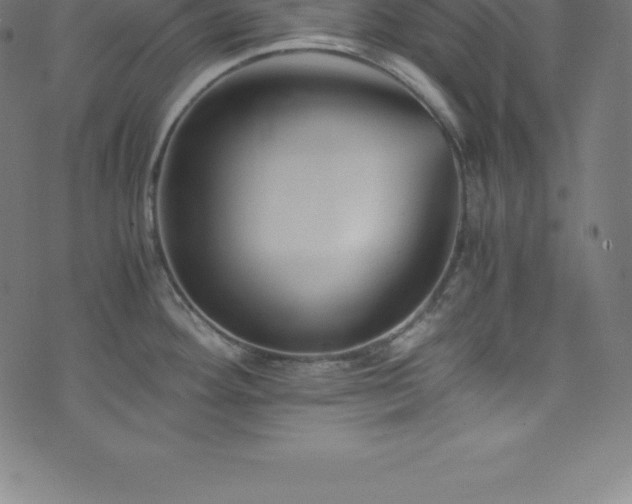 X0000076451292200610061313