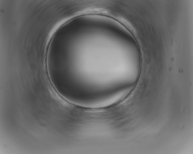 X0000076451296200610061313