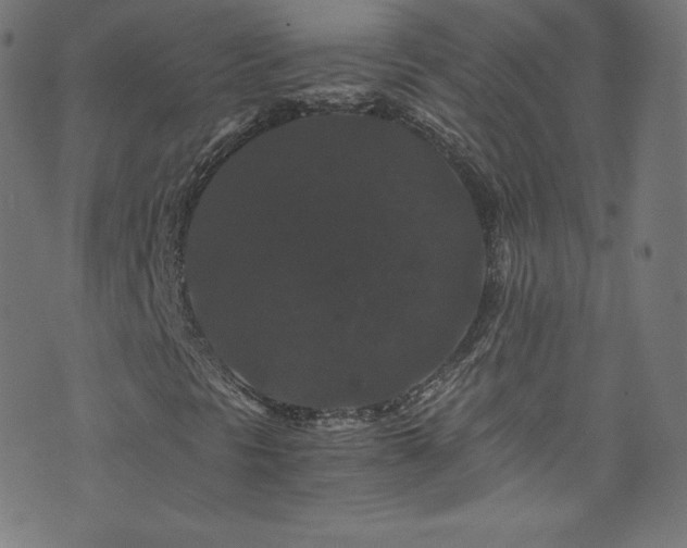 X0000076451297200610061312