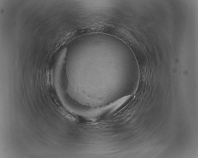 X0000076451298200610061312