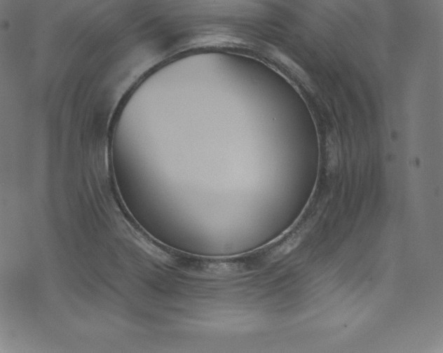 X0000076451322200610061312
