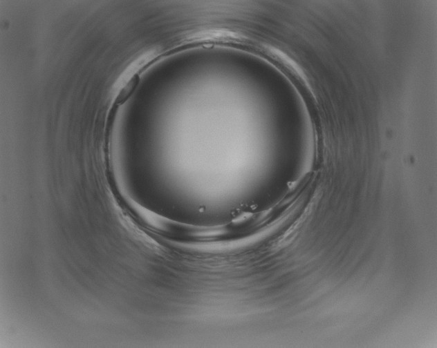 X0000076451330200610061313