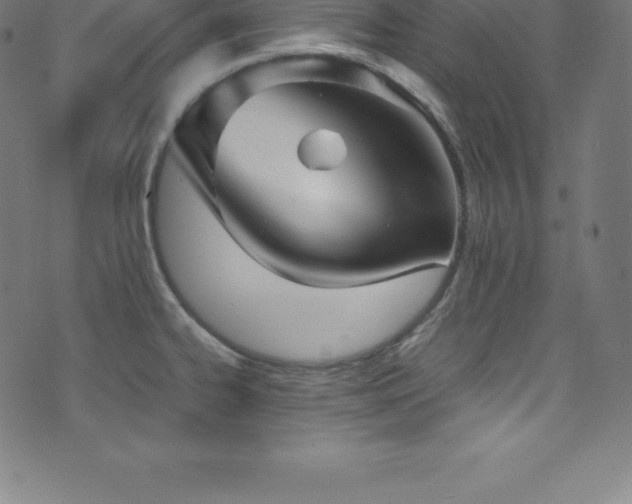 X0000076451334200610061313