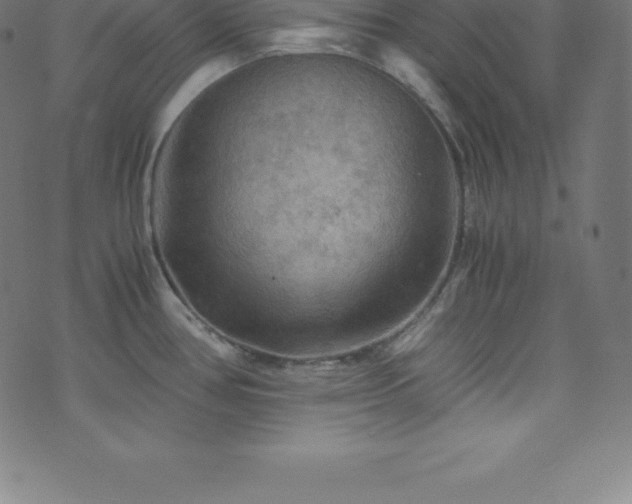 X0000076451386200610061311