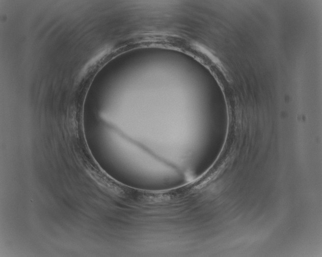 X0000076451403200610061311