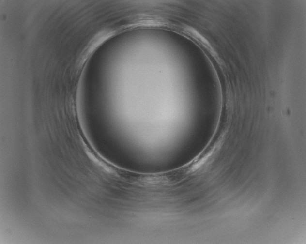 X0000076451433200610061311