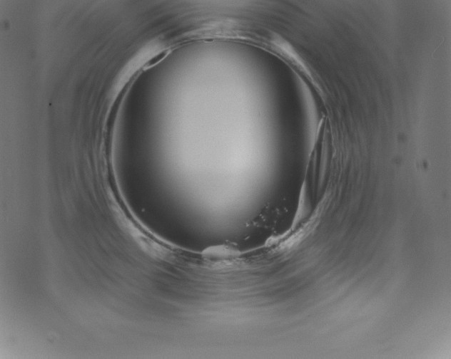 X0000076451434200610061311