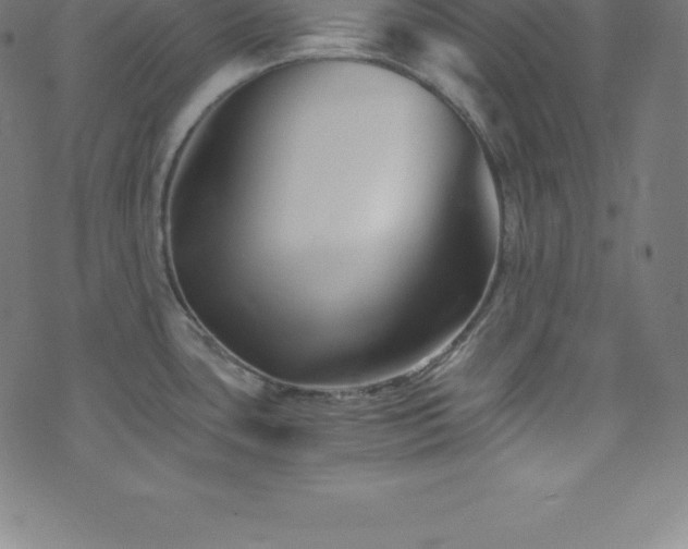 X0000076451435200610061311