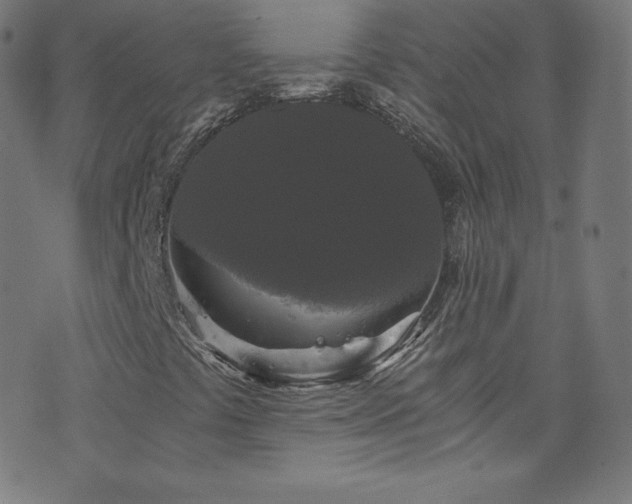 X0000076451441200610061311