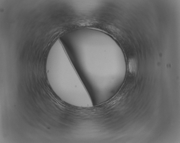 X0000076451444200610061310