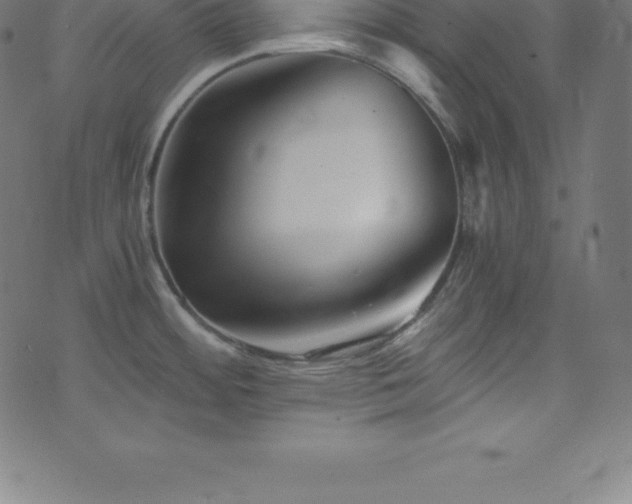X0000076451484200610061310