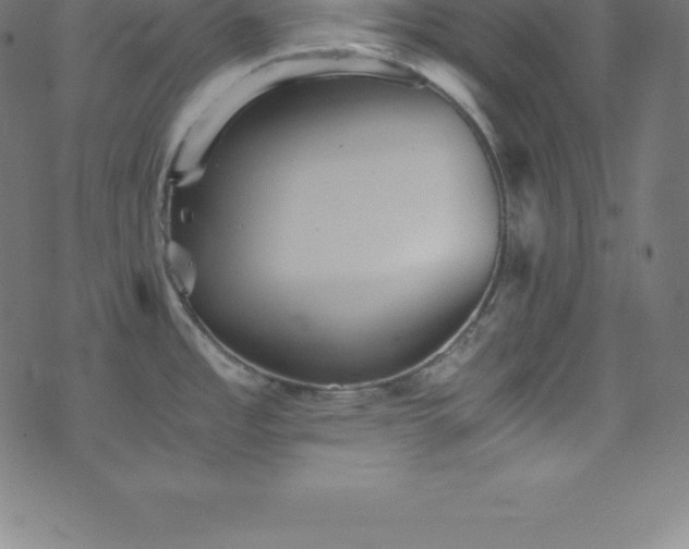 X0000076451485200610061310