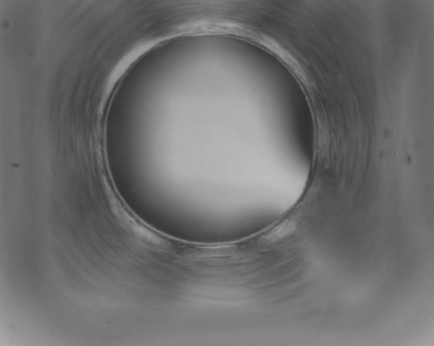 X0000076451486200610061310