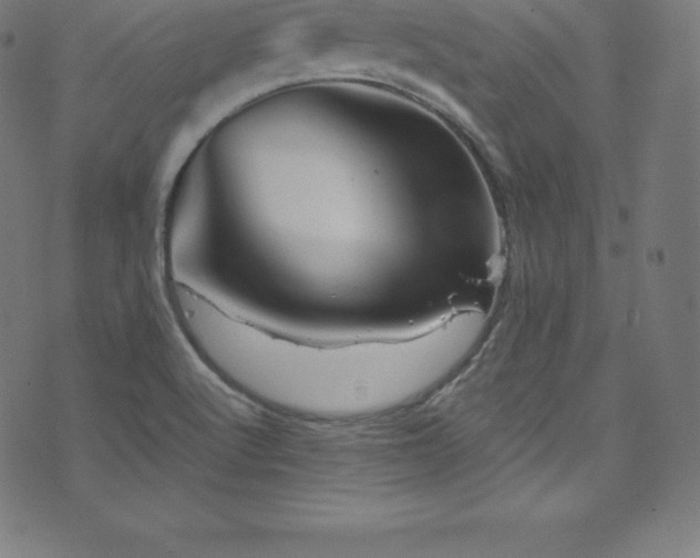 X0000076451512200610061309