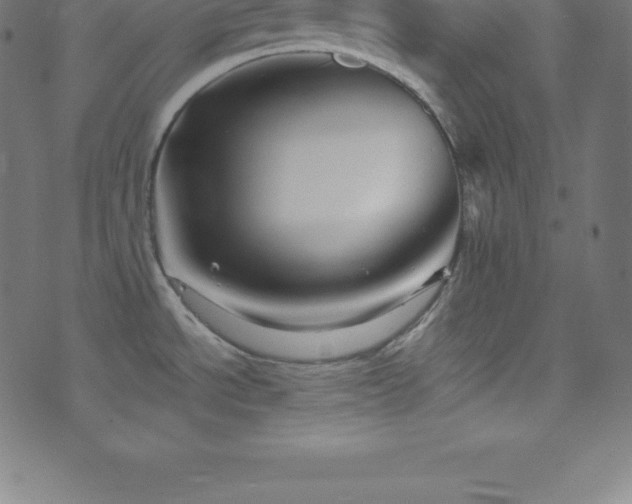 X0000076451534200610061310