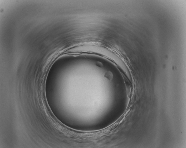 X0000076450001200610161323