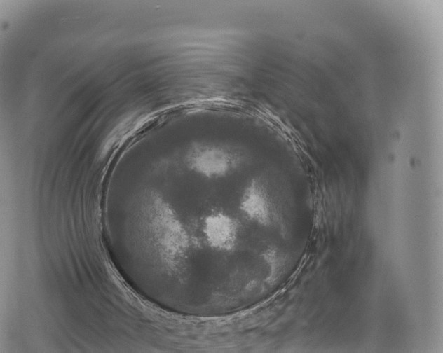 X0000076450002200610161323