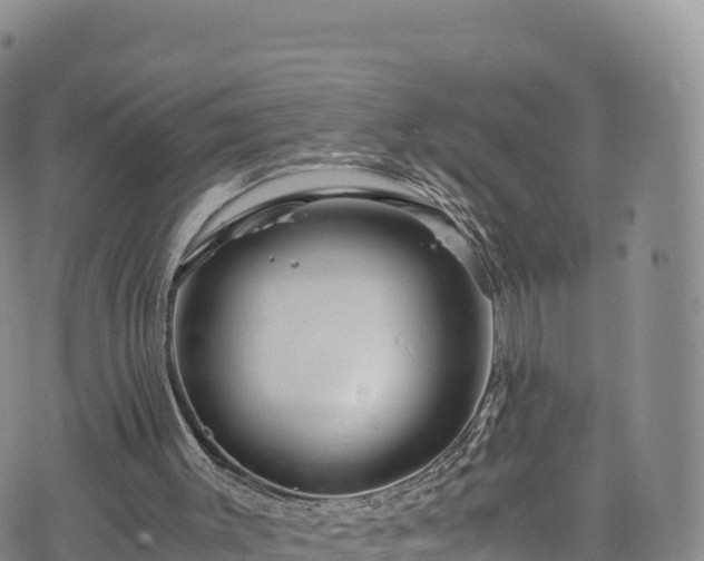 X0000076450003200610161323