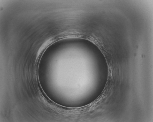 X0000076450004200610161323