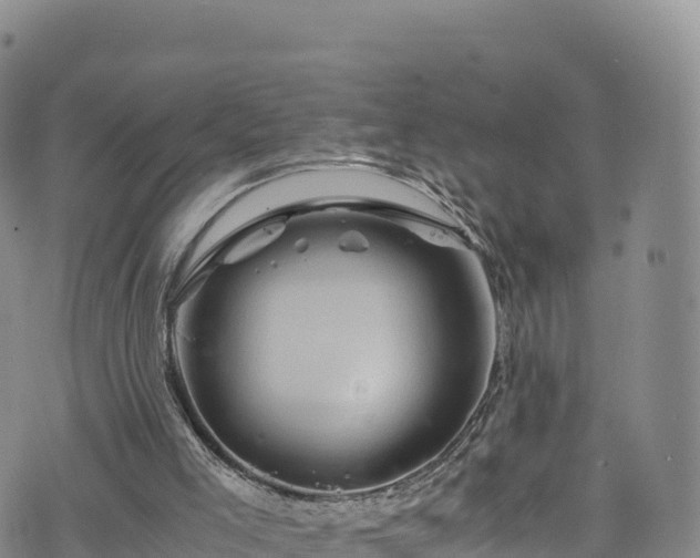 X0000076450005200610161323