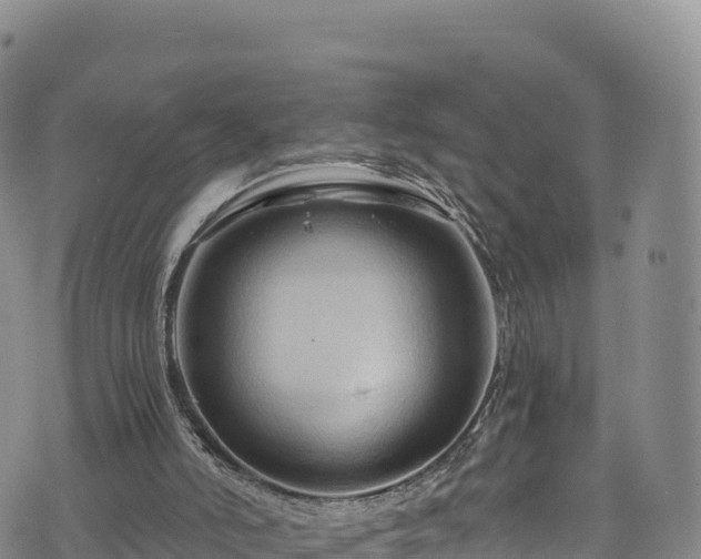 X0000076450006200610161323