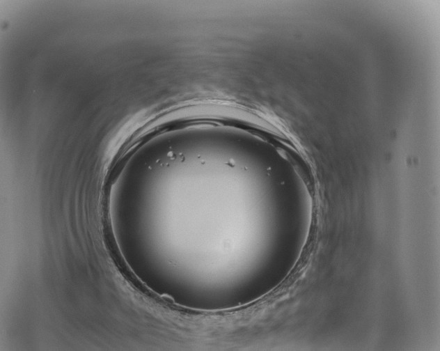 X0000076450007200610161323