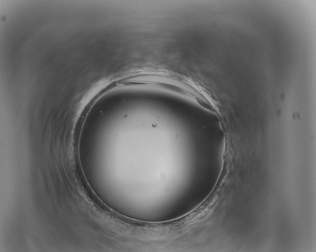 X0000076450008200610161323