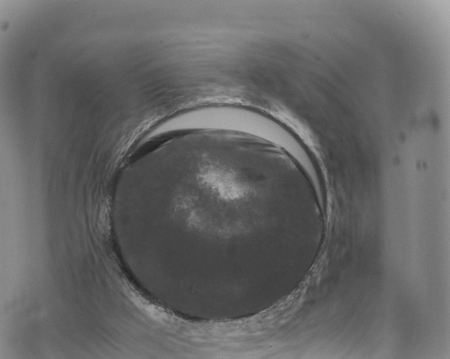 X0000076450009200610161323