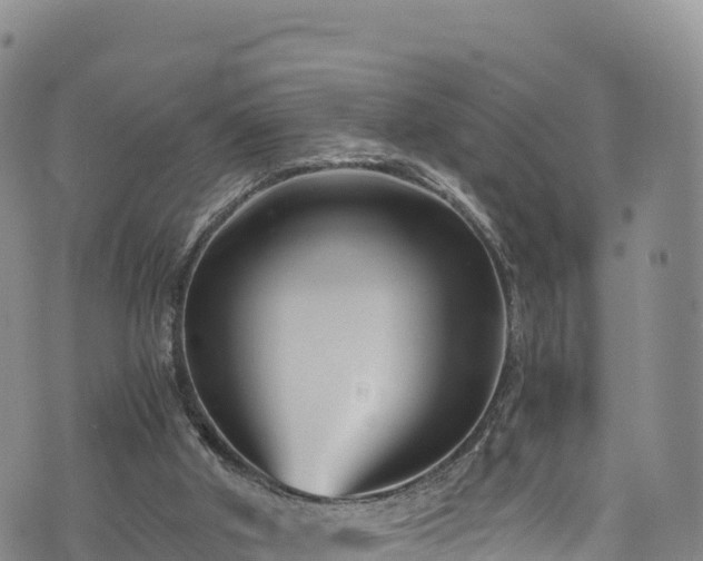 X0000076450010200610161323