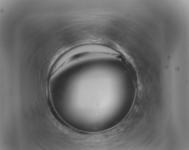 X0000076450011200610161323