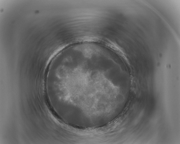 X0000076450012200610161323