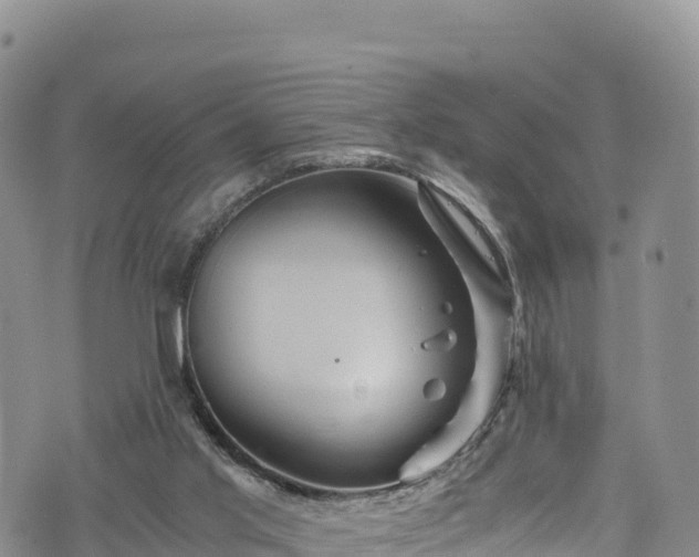 X0000076450013200610161323