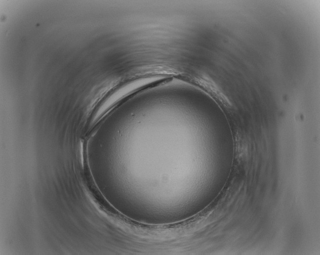 X0000076450014200610161323