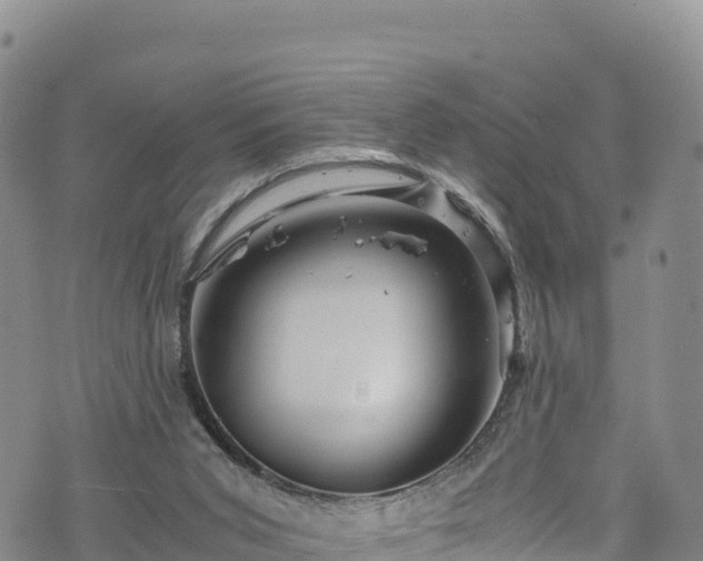 X0000076450015200610161323