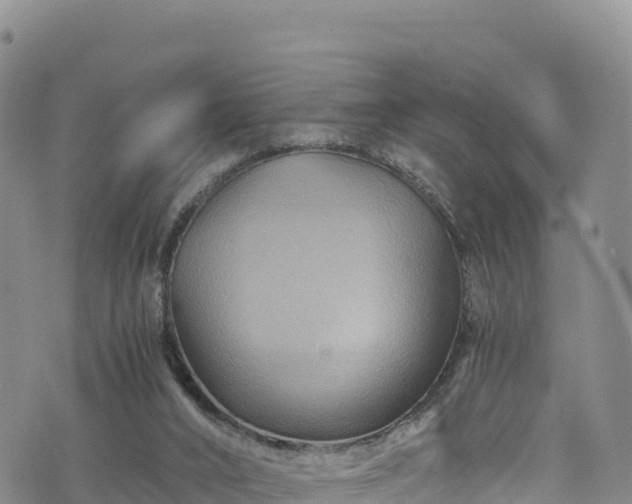 X0000076450016200610161323