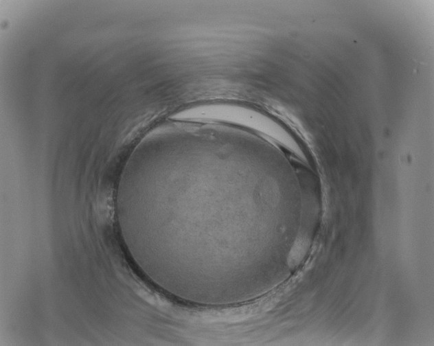 X0000076450017200610161323