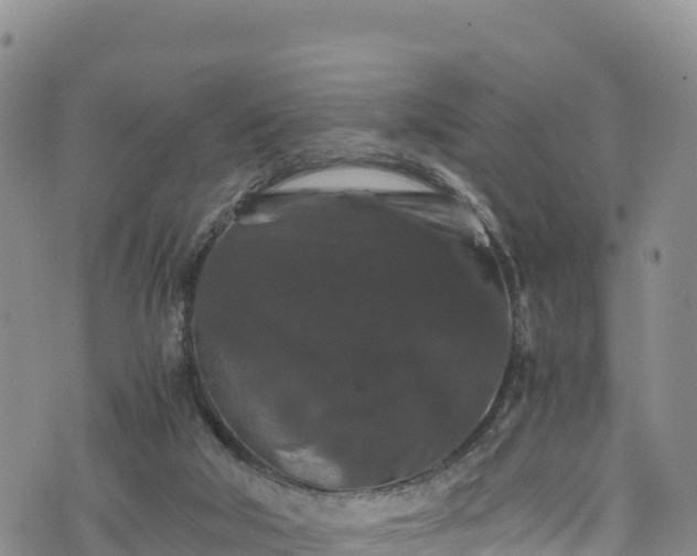 X0000076450018200610161323