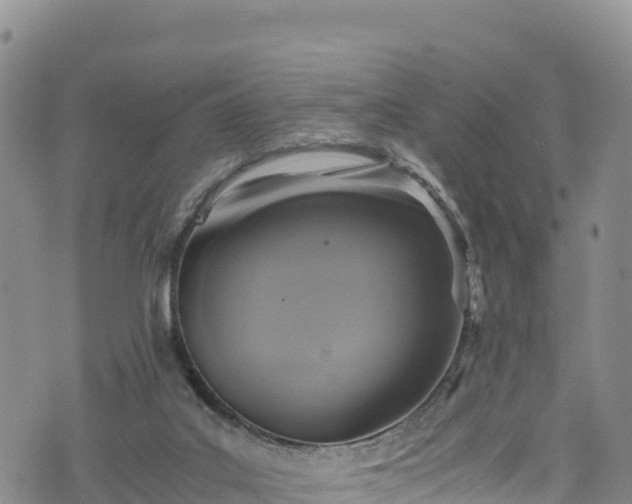 X0000076450019200610161323