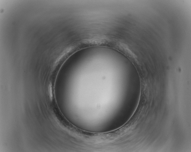 X0000076450020200610161323