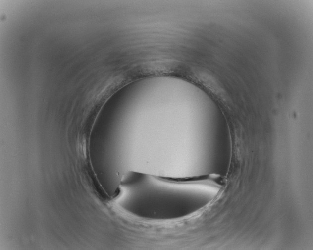 X0000076450021200610161323