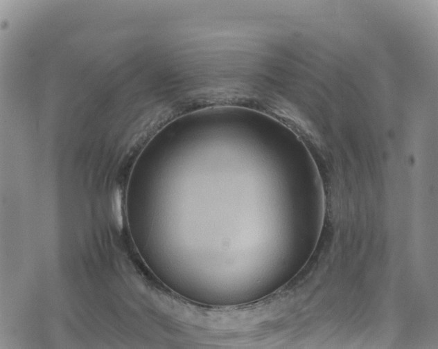 X0000076450022200610161323