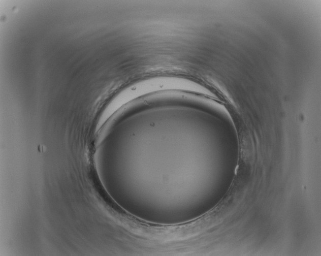 X0000076450023200610161323