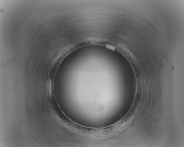 X0000076450024200610161323