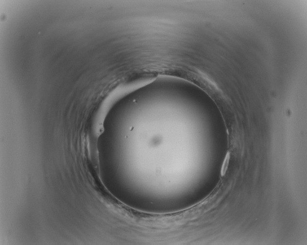 X0000076450025200610161323