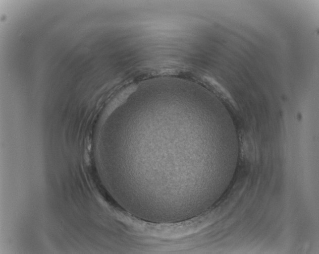 X0000076450026200610161323