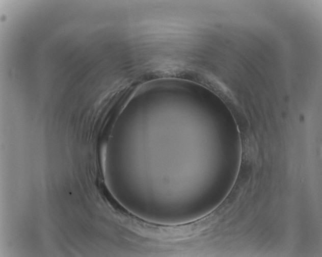 X0000076450027200610161323